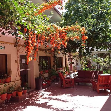 Hostal Aramayo Туписа Экстерьер фото