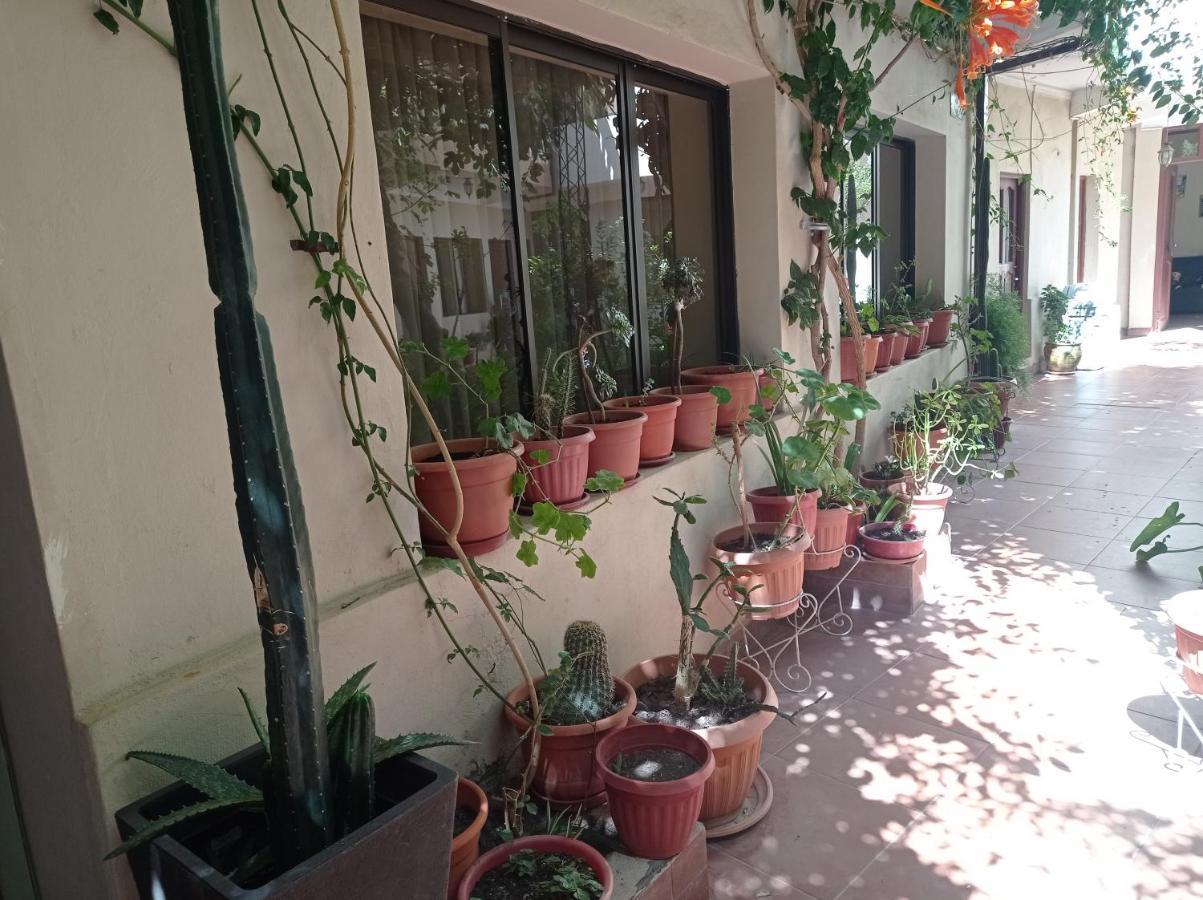 Hostal Aramayo Туписа Экстерьер фото